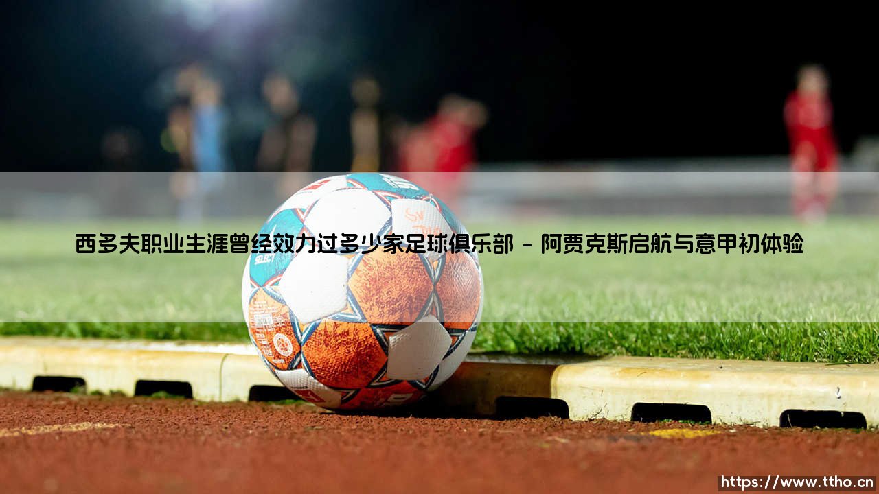 西多夫职业生涯曾经效力过多少家足球俱乐部_足球第一线-第1张图片-天体号 西多夫职业生涯曾经效力过多少家足球俱乐部_足球第一线-第1张图片-天体号