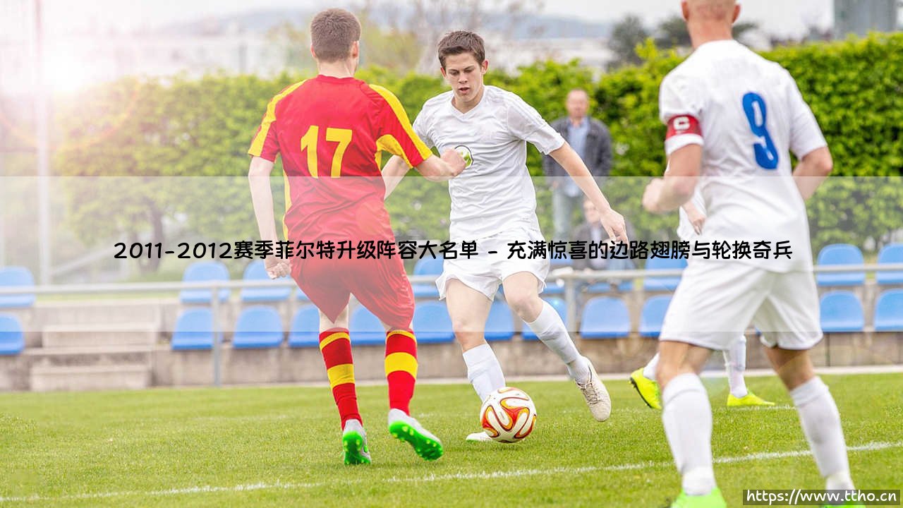 2011-2012赛季菲尔特升级阵容大名单:一支平民球队的逆袭史诗-第2张图片-天体号 2011-2012赛季菲尔特升级阵容大名单:一支平民球队的逆袭史诗-第2张图片-天体号
