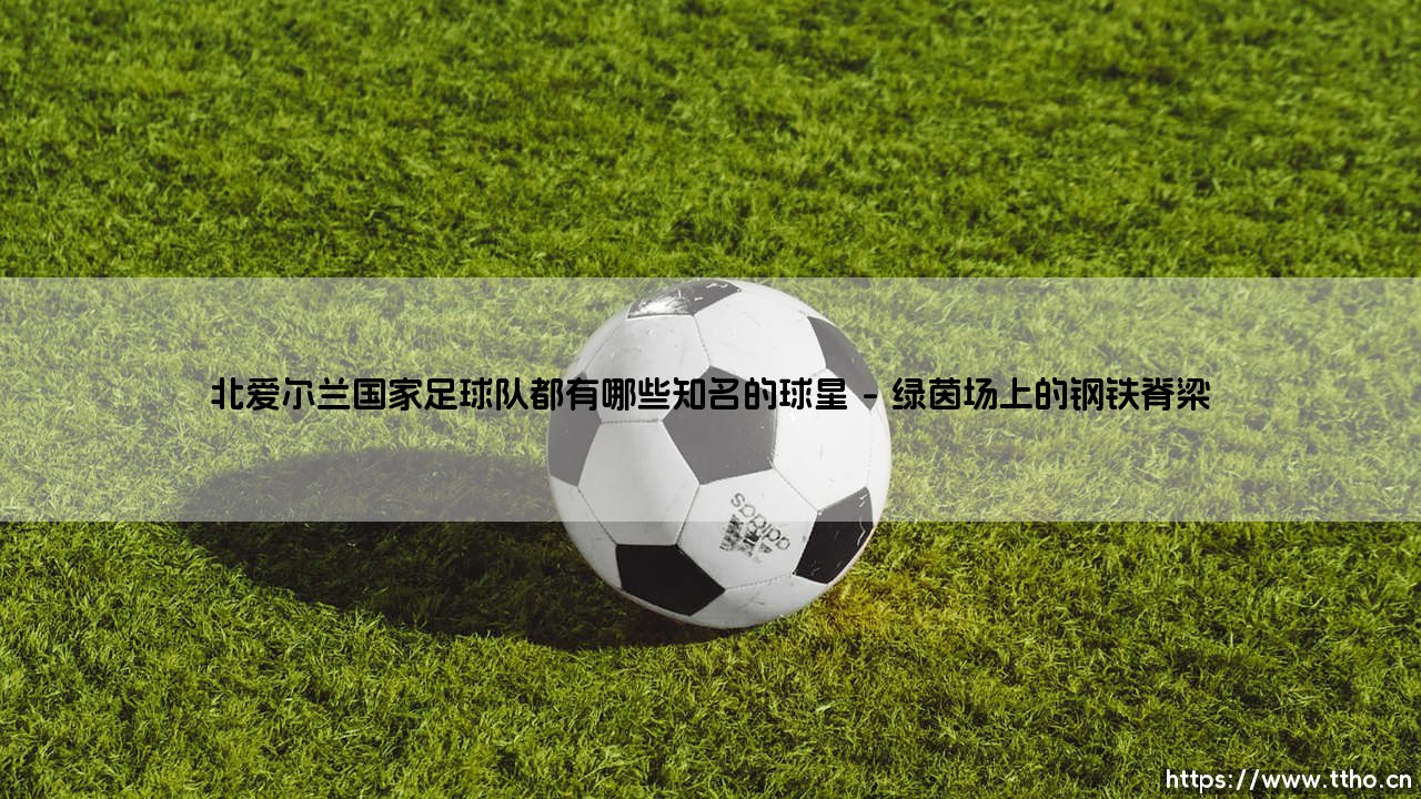 北爱尔兰国家足球队都有哪些知名的球星(足球那些事儿)-第1张图片-天体号 北爱尔兰国家足球队都有哪些知名的球星(足球那些事儿)-第1张图片-天体号