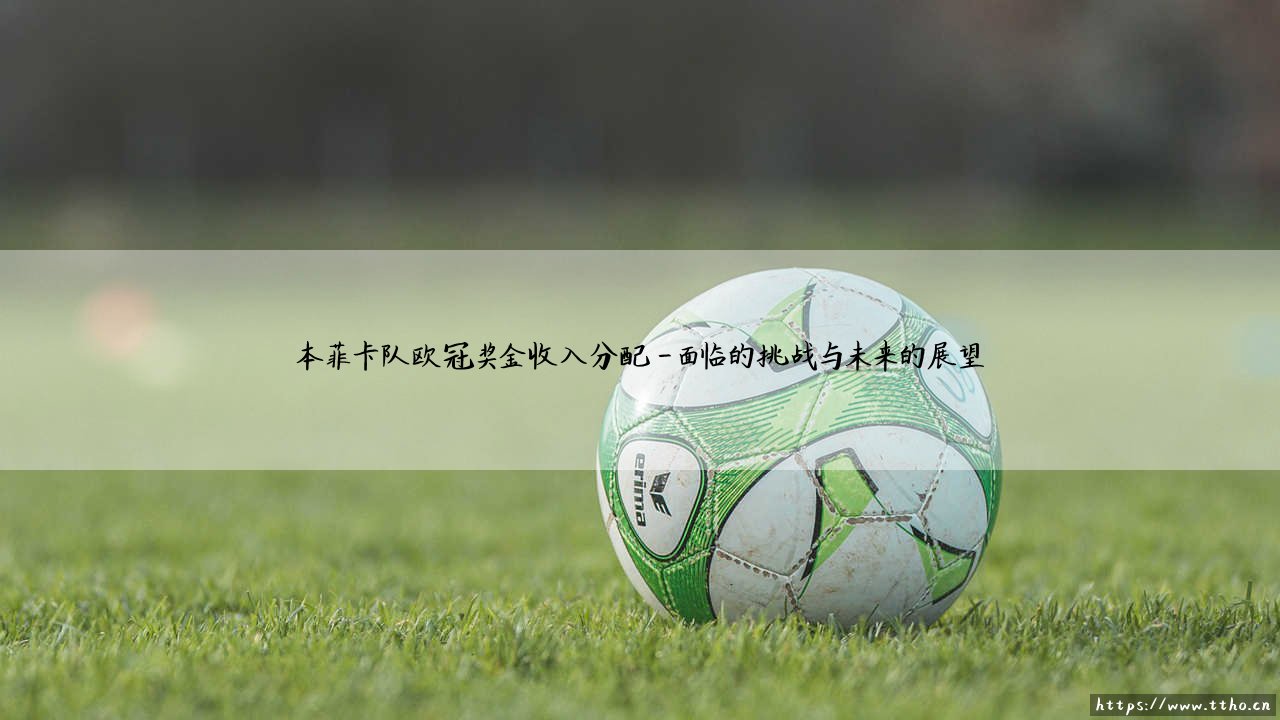 本菲卡队欧冠奖金收入分配:绿茵豪门的财富密码与战略蓝图-第4张图片-天体号 本菲卡队欧冠奖金收入分配:绿茵豪门的财富密码与战略蓝图-第4张图片-天体号