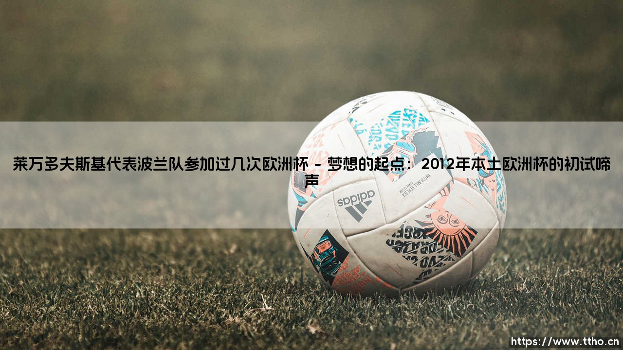 莱万多夫斯基的欧洲杯征程:波兰队长的四次大赛之旅与传奇足迹-第1张图片-天体号 莱万多夫斯基的欧洲杯征程:波兰队长的四次大赛之旅与传奇足迹-第1张图片-天体号