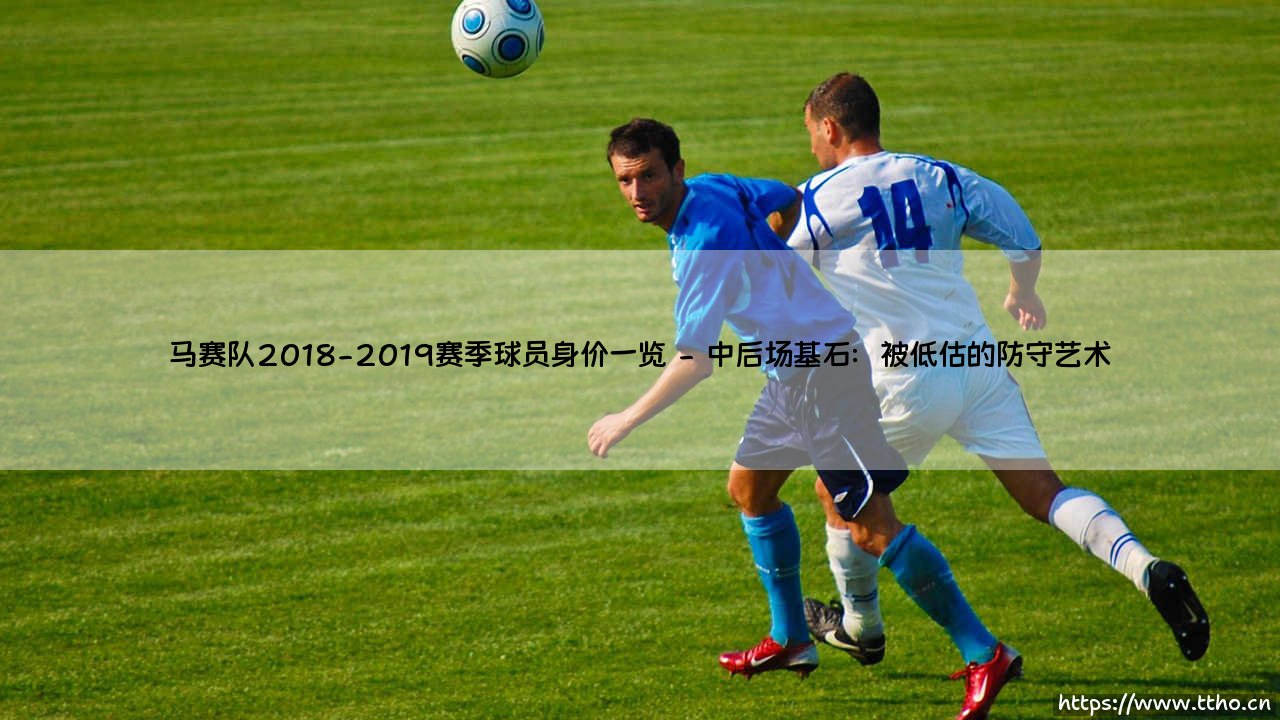马赛队2018-2019赛季球员身价一览：金元浪潮下的价值与忠诚-第2张图片-天体号