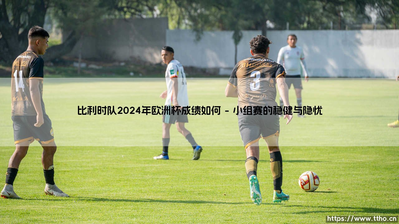 比利时队2024年欧洲杯成绩如何？「欧洲红魔」的征程是惊喜还是遗憾？-第1张图片-天体号