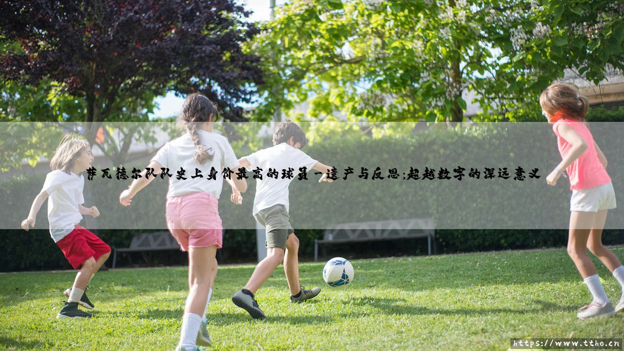 萨瓦德尔队队史上身价最高的球员：一段承载梦想与现实的转会传奇-第3张图片-天体号