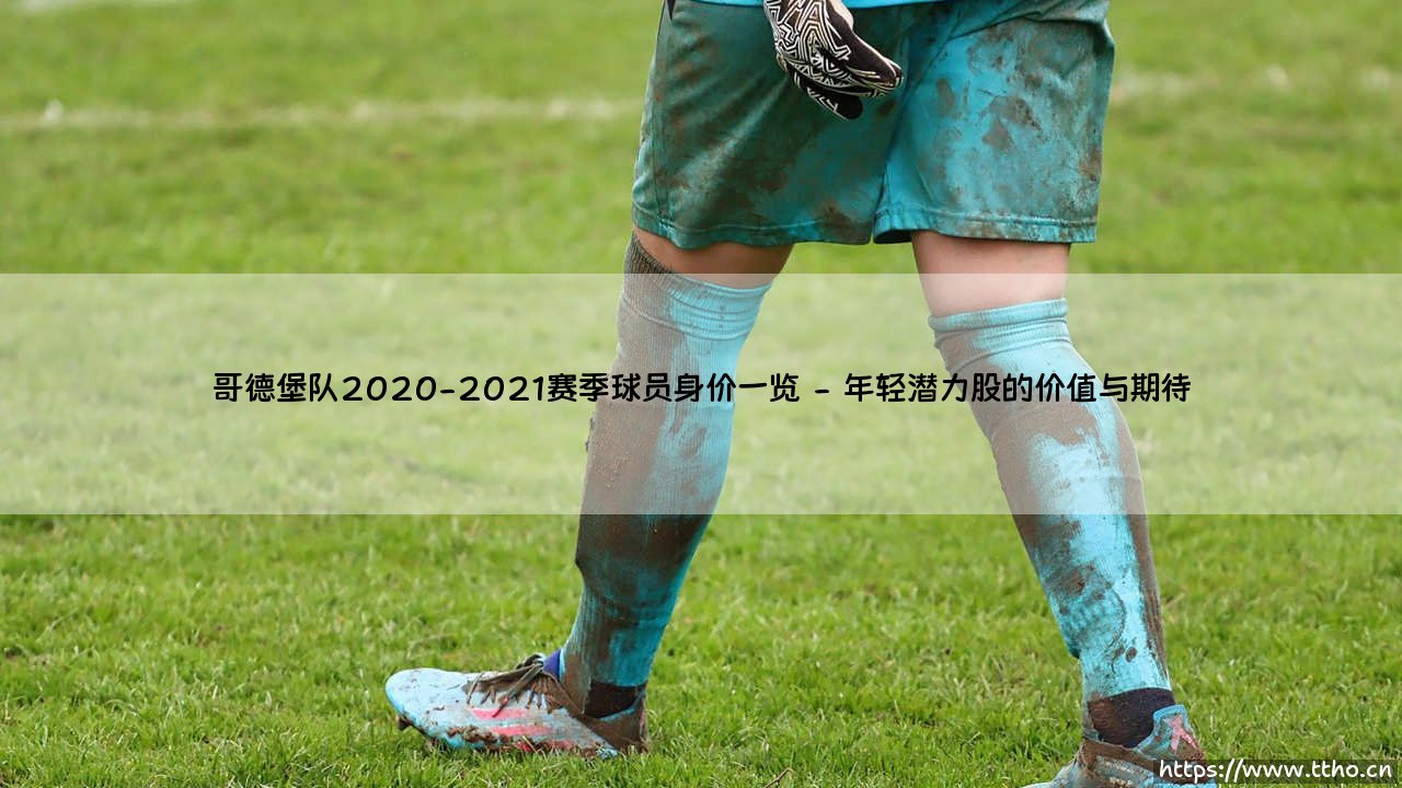 哥德堡队2020-2021赛季球员身价一览的深度解析-第2张图片-天体号