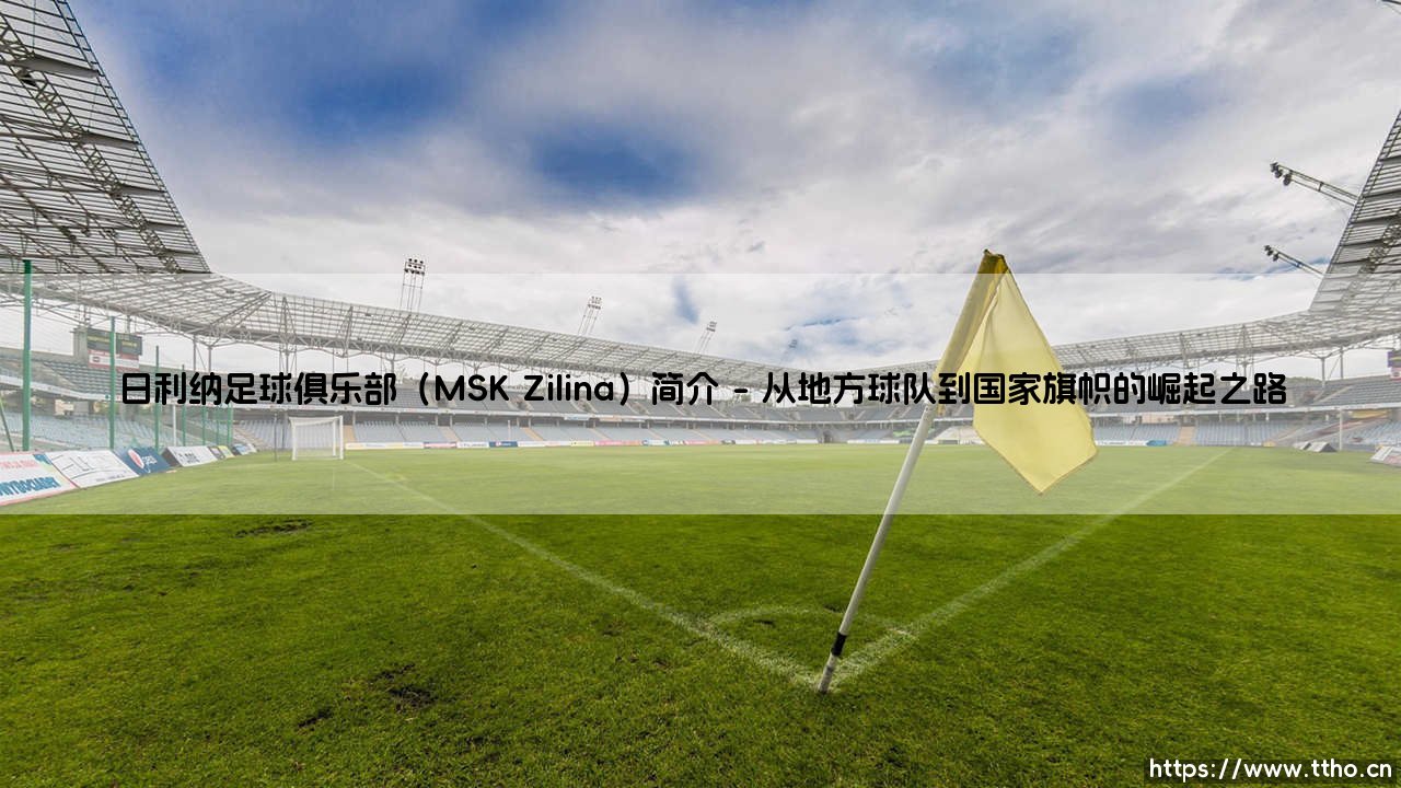 日利纳足球俱乐部（MSK Zilina）简介：斯洛伐克绿茵的不灭灯塔-第1张图片-天体号
