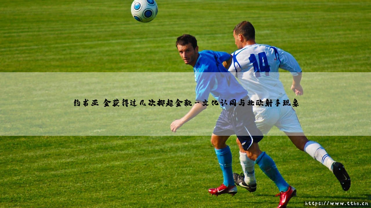 约书亚·金获得过几次挪超金靴：从挪威之光到英超之旅的足迹-第3张图片-天体号