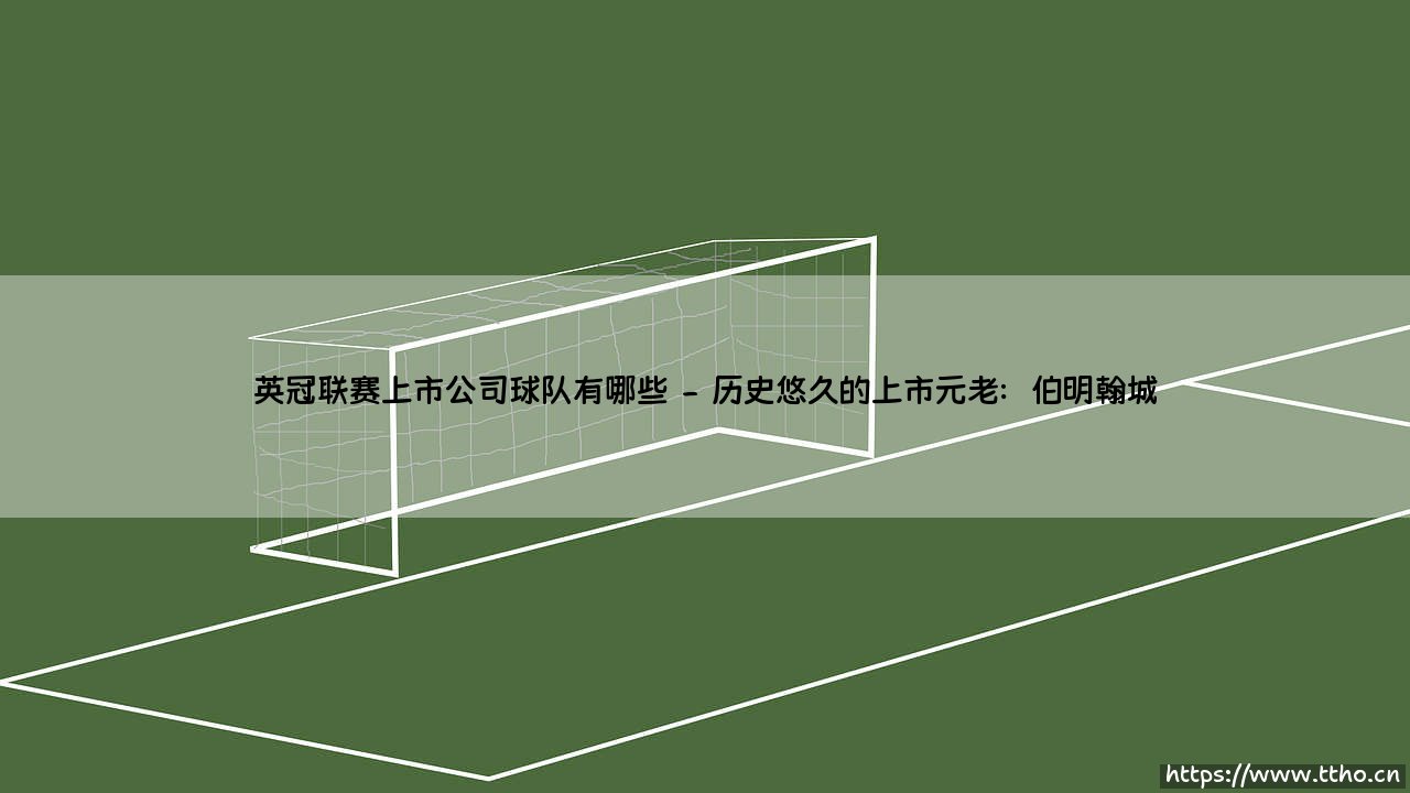 英冠联赛上市公司球队有哪些?盘点那些拥有上市背景的英冠球队-第2张图片-天体号 英冠联赛上市公司球队有哪些?盘点那些拥有上市背景的英冠球队-第2张图片-天体号