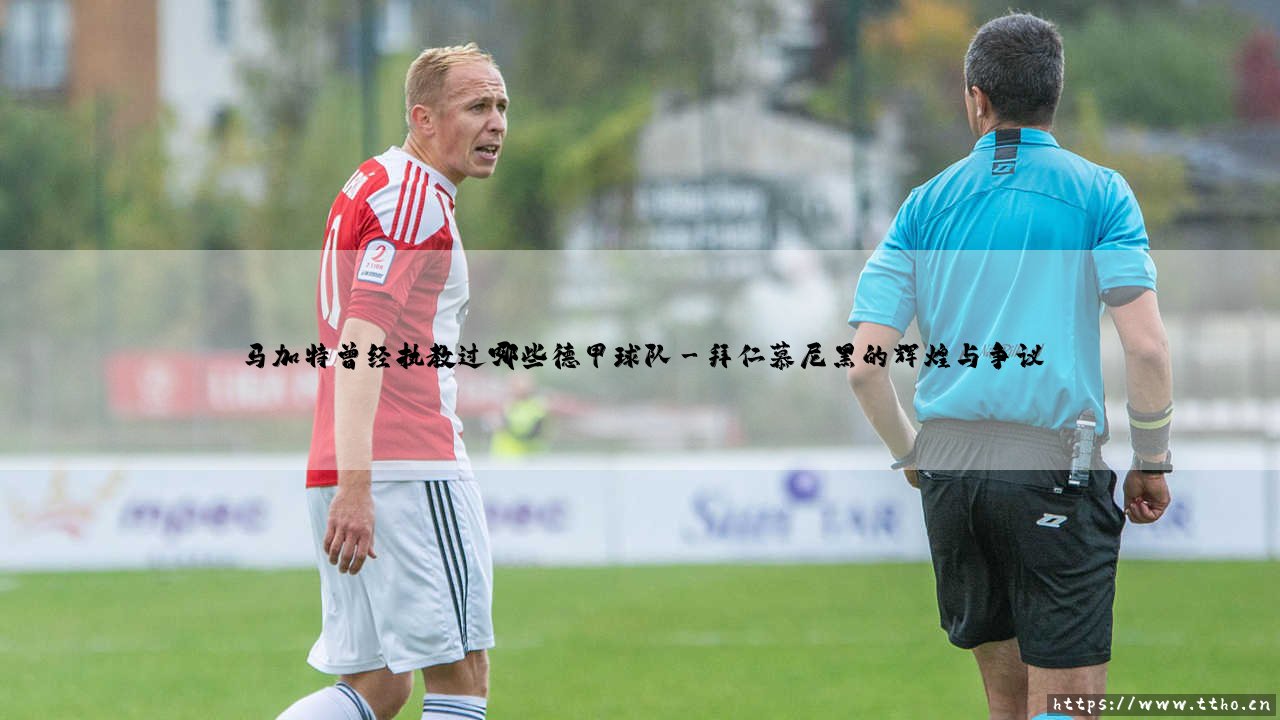 马加特曾经执教过哪些德甲球队？铁血教头的德甲足迹：从汉堡到沃尔夫斯堡的传奇旅程-第3张图片-天体号