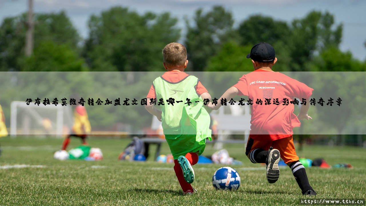 伊布拉希莫维奇转会加盟尤文图斯是哪一年?-第3张图片-天体号 伊布拉希莫维奇转会加盟尤文图斯是哪一年?-第3张图片-天体号