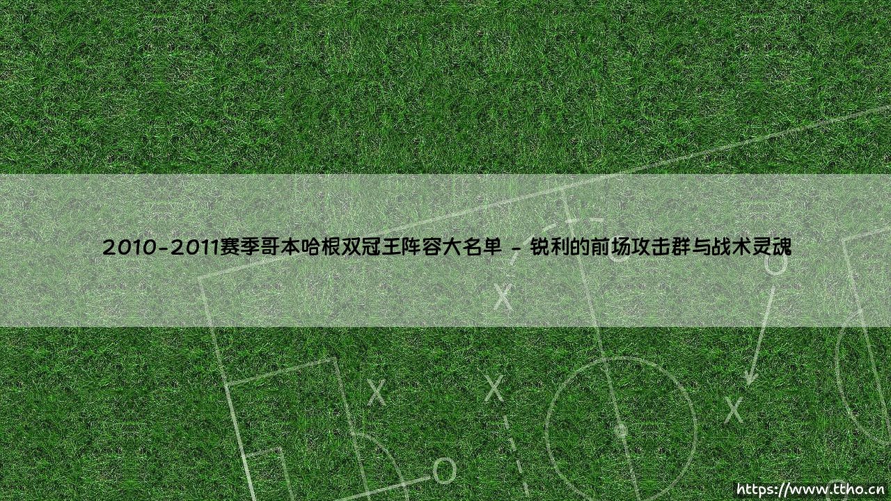 2010-2011赛季哥本哈根双冠王阵容大名单「90+」-第2张图片-天体号