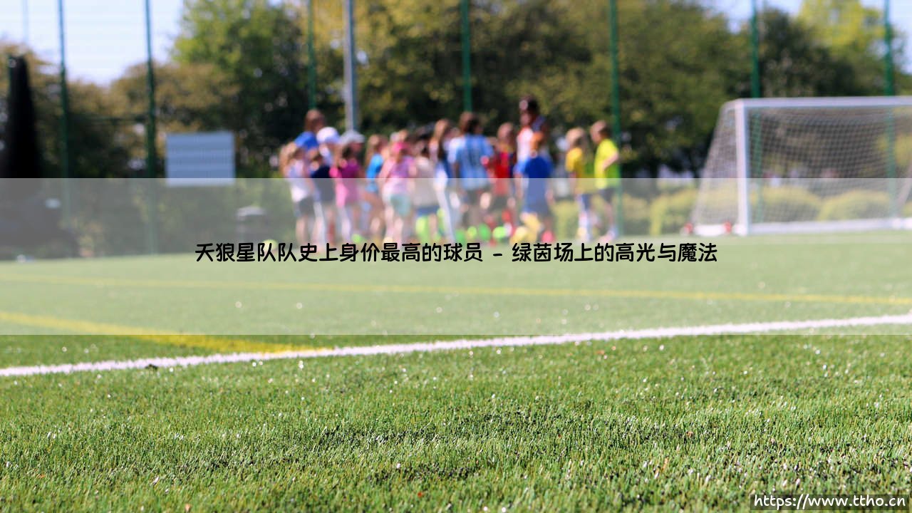 天狼星队史身价之王是谁?揭秘俱乐部最昂贵的签约传奇-第2张图片-天体号 天狼星队史身价之王是谁?揭秘俱乐部最昂贵的签约传奇-第2张图片-天体号