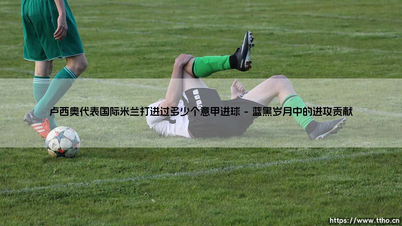 卢西奥代表国际米兰打进过多少个意甲进球?-第1张图片-天体号 卢西奥代表国际米兰打进过多少个意甲进球?-第1张图片-天体号