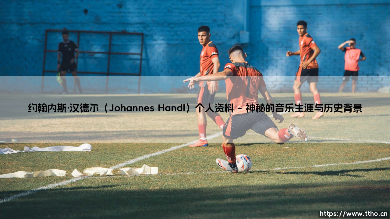 谁是约翰内斯·汉德尔？探寻音乐天才约翰内斯·汉德尔的个人资料与传奇-第1张图片-天体号