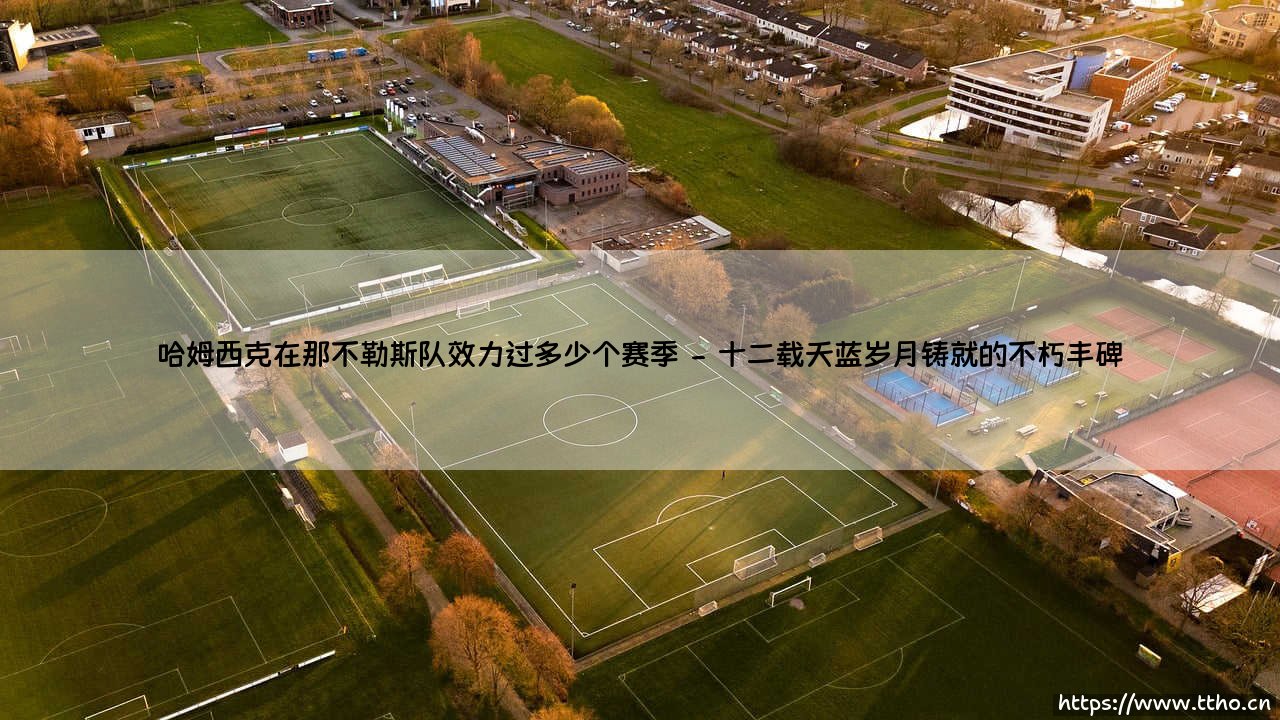 哈姆西克在那不勒斯队效力过多少个赛季，背后是怎样的忠诚与传奇？-第2张图片-天体号