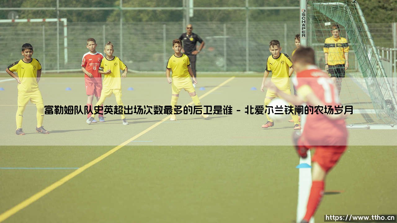 富勒姆队史英超出场之王：探寻铁卫传奇 富勒姆队史英超出场次数最多的后卫是谁？-第1张图片-天体号