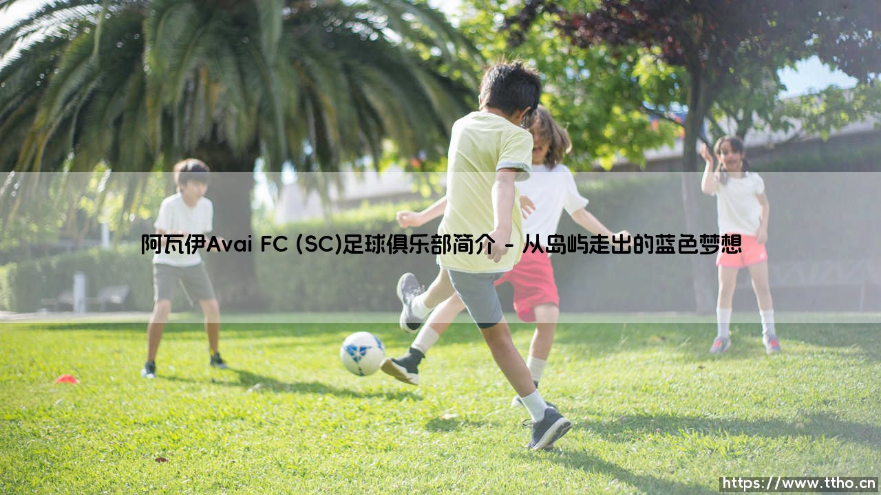 阿瓦伊足球俱乐部：圣卡塔琳娜州的一抹蓝色旗帜-第1张图片-天体号