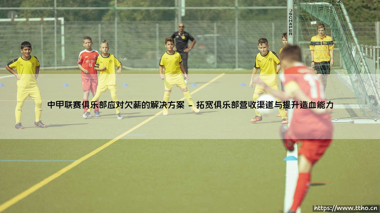 中甲联赛俱乐部应对欠薪的解决方案:探寻根治欠薪的破局之道-第2张图片-天体号 中甲联赛俱乐部应对欠薪的解决方案:探寻根治欠薪的破局之道-第2张图片-天体号