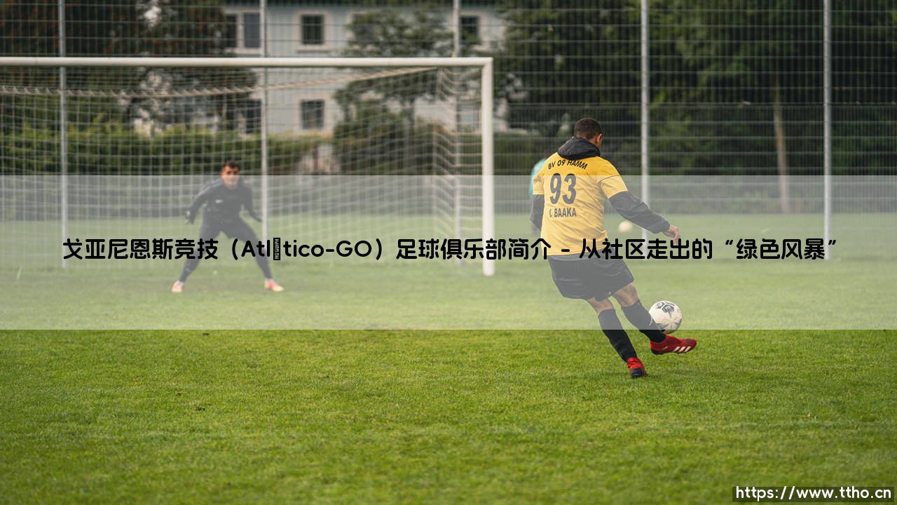 戈亚尼恩斯竞技足球俱乐部简介-第1张图片-天体号 戈亚尼恩斯竞技足球俱乐部简介-第1张图片-天体号