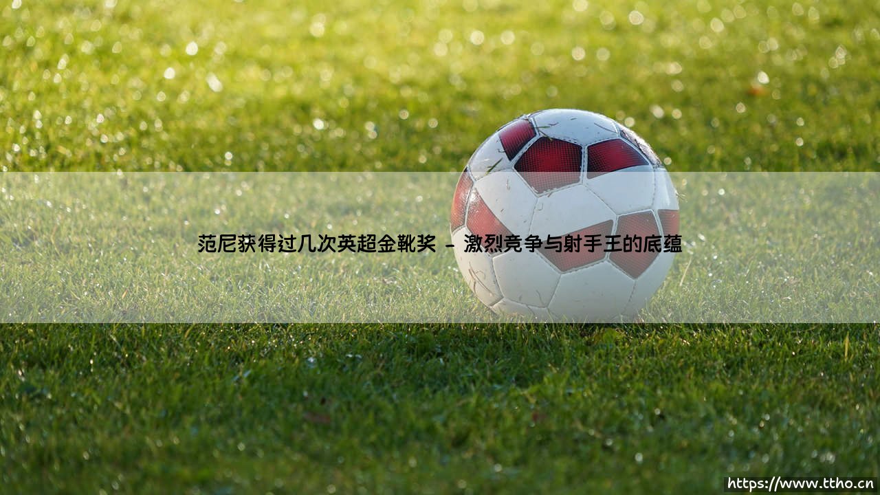 范尼斯特鲁伊与他的英超金靴奖传奇-第2张图片-天体号 范尼斯特鲁伊与他的英超金靴奖传奇-第2张图片-天体号