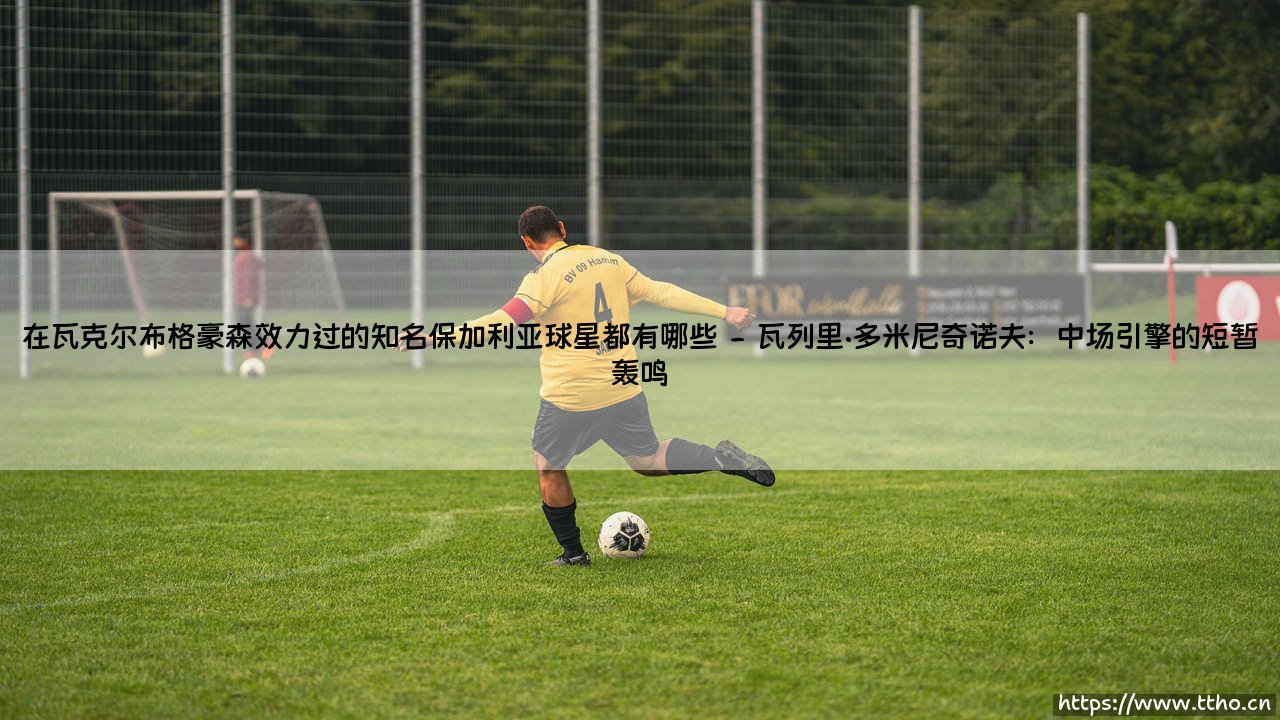 在瓦克尔布格豪森效力过的知名保加利亚球星:探寻东欧铁骑的德国足迹-第2张图片-天体号 在瓦克尔布格豪森效力过的知名保加利亚球星:探寻东欧铁骑的德国足迹-第2张图片-天体号
