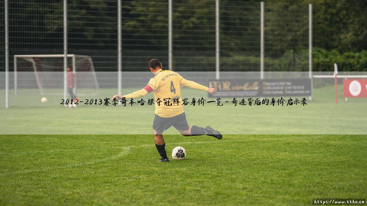 哥本哈根夺冠奇迹:2012-2013赛季的冠军阵容,他们的身价到底有多高?-第4张图片-天体号 哥本哈根夺冠奇迹:2012-2013赛季的冠军阵容,他们的身价到底有多高?-第4张图片-天体号