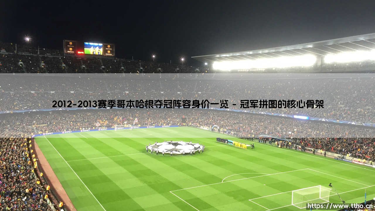 哥本哈根夺冠奇迹:2012-2013赛季的冠军阵容,他们的身价到底有多高?-第1张图片-天体号 哥本哈根夺冠奇迹:2012-2013赛季的冠军阵容,他们的身价到底有多高?-第1张图片-天体号
