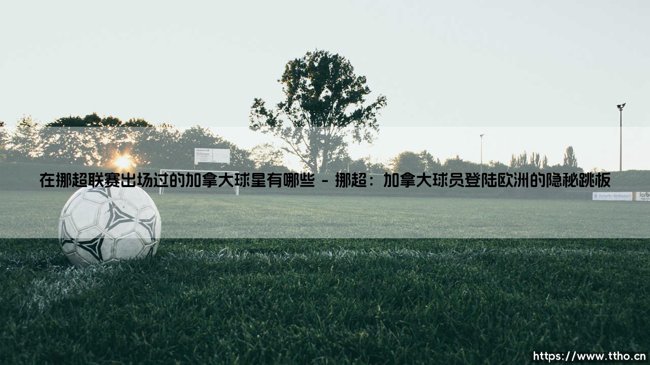 在挪超联赛出场过的加拿大球星有哪些|球门之间-第1张图片-天体号