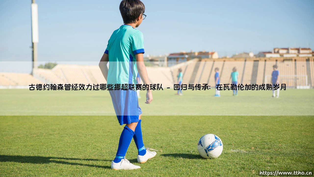 古德约翰森曾经效力过哪些挪超联赛的球队_足球第一线-第2张图片-天体号
