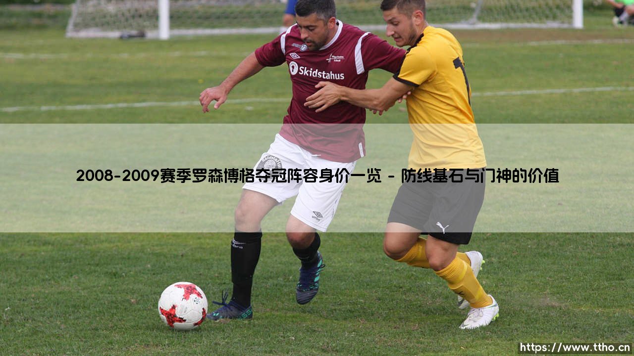 2008-2009赛季罗森博格夺冠阵容身价一览：北欧绿茵的黄金阵容价值几何？-第1张图片-天体号