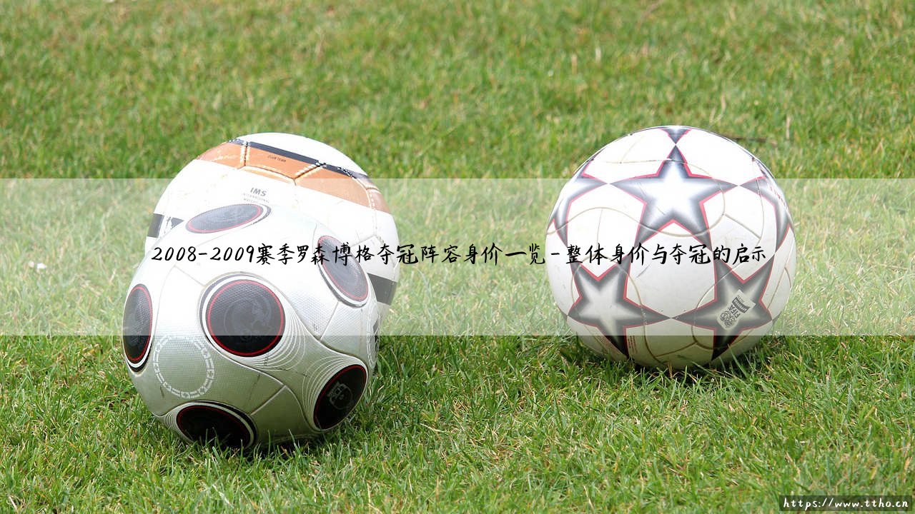 2008-2009赛季罗森博格夺冠阵容身价一览：北欧绿茵的黄金阵容价值几何？-第4张图片-天体号
