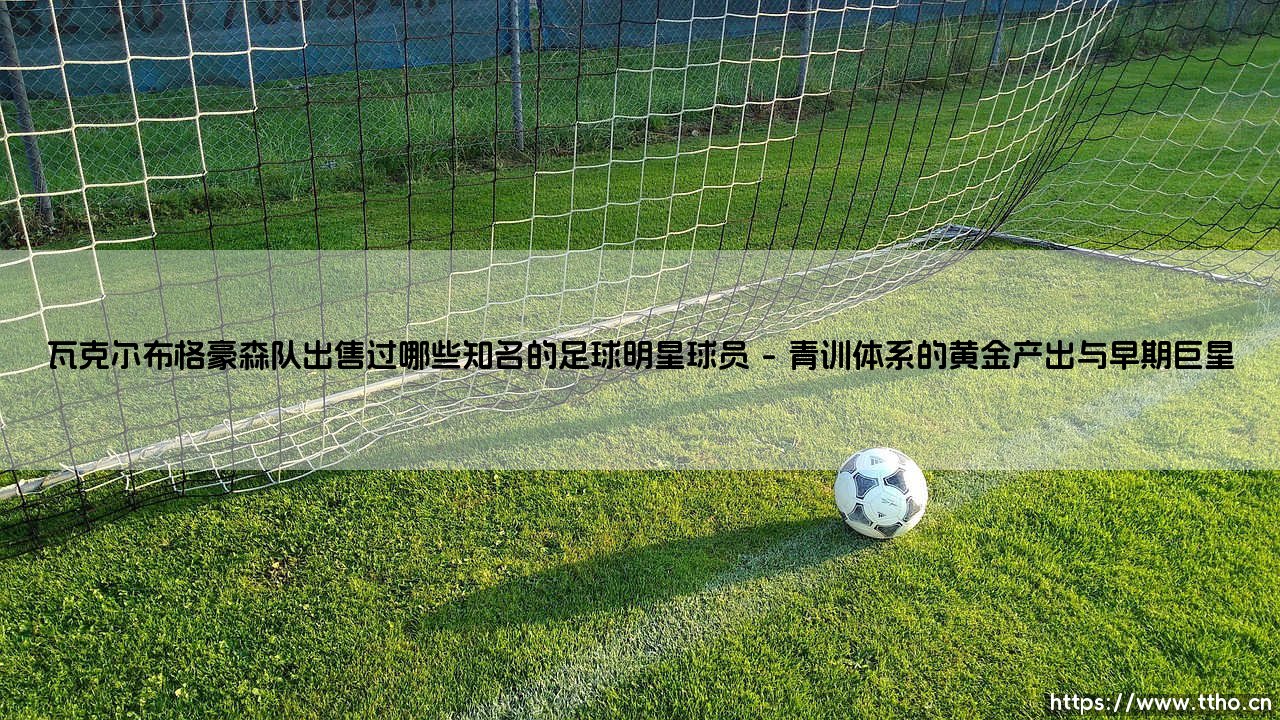 瓦克尔布格豪森队出售过哪些知名的足球明星球员：一支低级别联赛球队的球星加工厂传奇-第1张图片-天体号