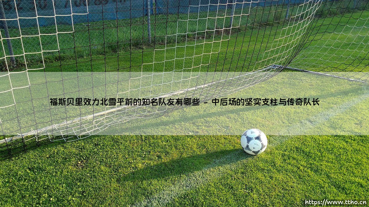 福斯贝里效力北雪平前的知名队友有哪些「足坛哨声」-第2张图片-天体号 福斯贝里效力北雪平前的知名队友有哪些「足坛哨声」-第2张图片-天体号