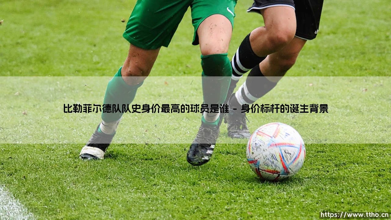 比勒菲尔德队史身价之巅：探寻球队身价最高的传奇球员-第1张图片-天体号