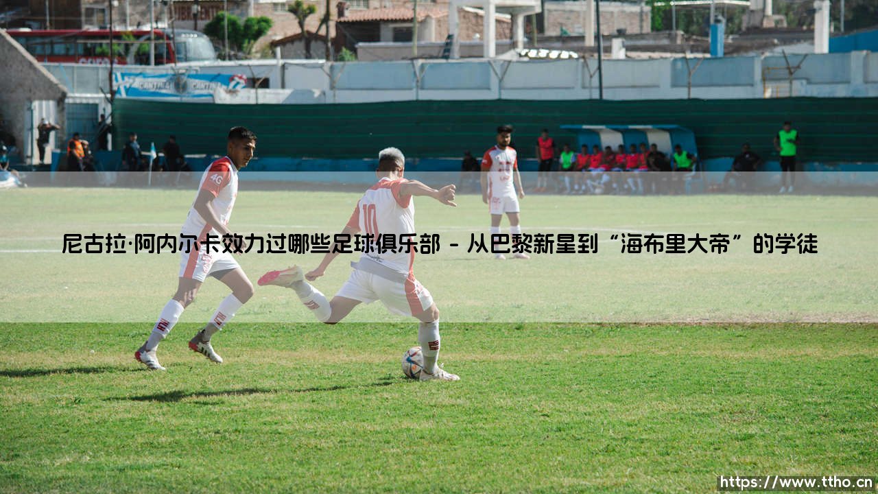 尼古拉·阿内尔卡效力过哪些足球俱乐部：一段横跨欧亚的足球流浪诗篇-第1张图片-天体号