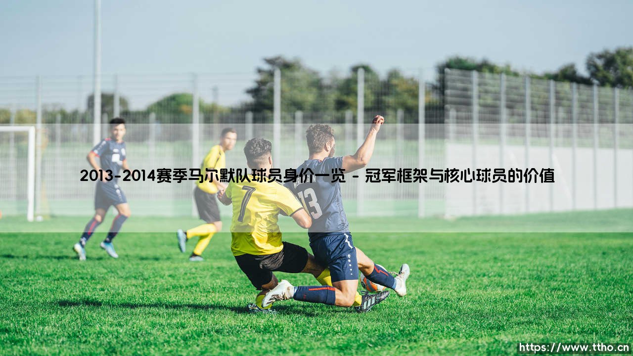 2013-2014赛季马尔默队球员身价一览:这支瑞典冠军之师的阵容究竟价值几何?-第1张图片-天体号 2013-2014赛季马尔默队球员身价一览:这支瑞典冠军之师的阵容究竟价值几何?-第1张图片-天体号
