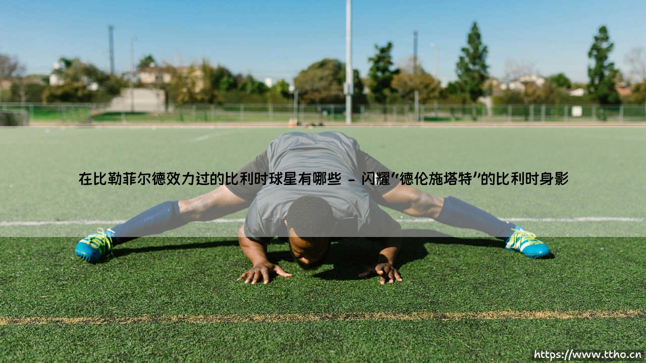 在比勒菲尔德效力过的比利时球星有哪些?-第2张图片-天体号 在比勒菲尔德效力过的比利时球星有哪些?-第2张图片-天体号