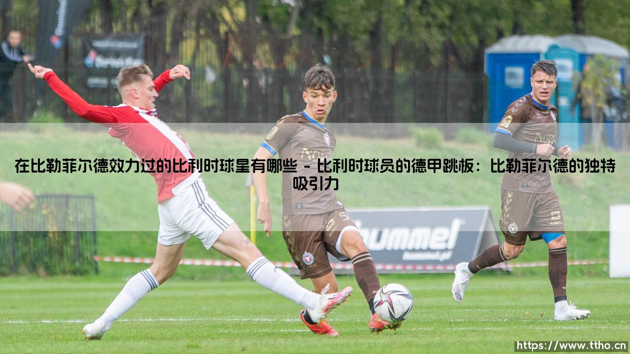 在比勒菲尔德效力过的比利时球星有哪些?-第1张图片-天体号 在比勒菲尔德效力过的比利时球星有哪些?-第1张图片-天体号