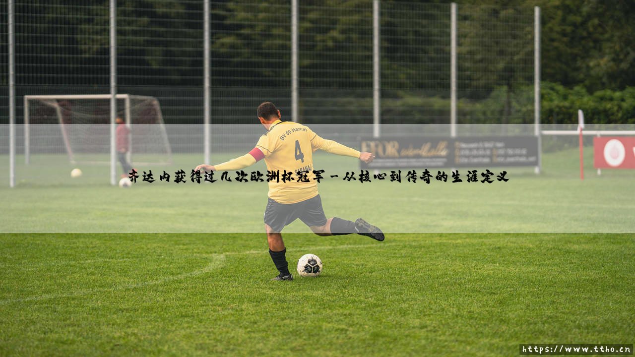 齐达内获得过几次欧洲杯冠军_足球早晚报-第3张图片-天体号 齐达内获得过几次欧洲杯冠军_足球早晚报-第3张图片-天体号