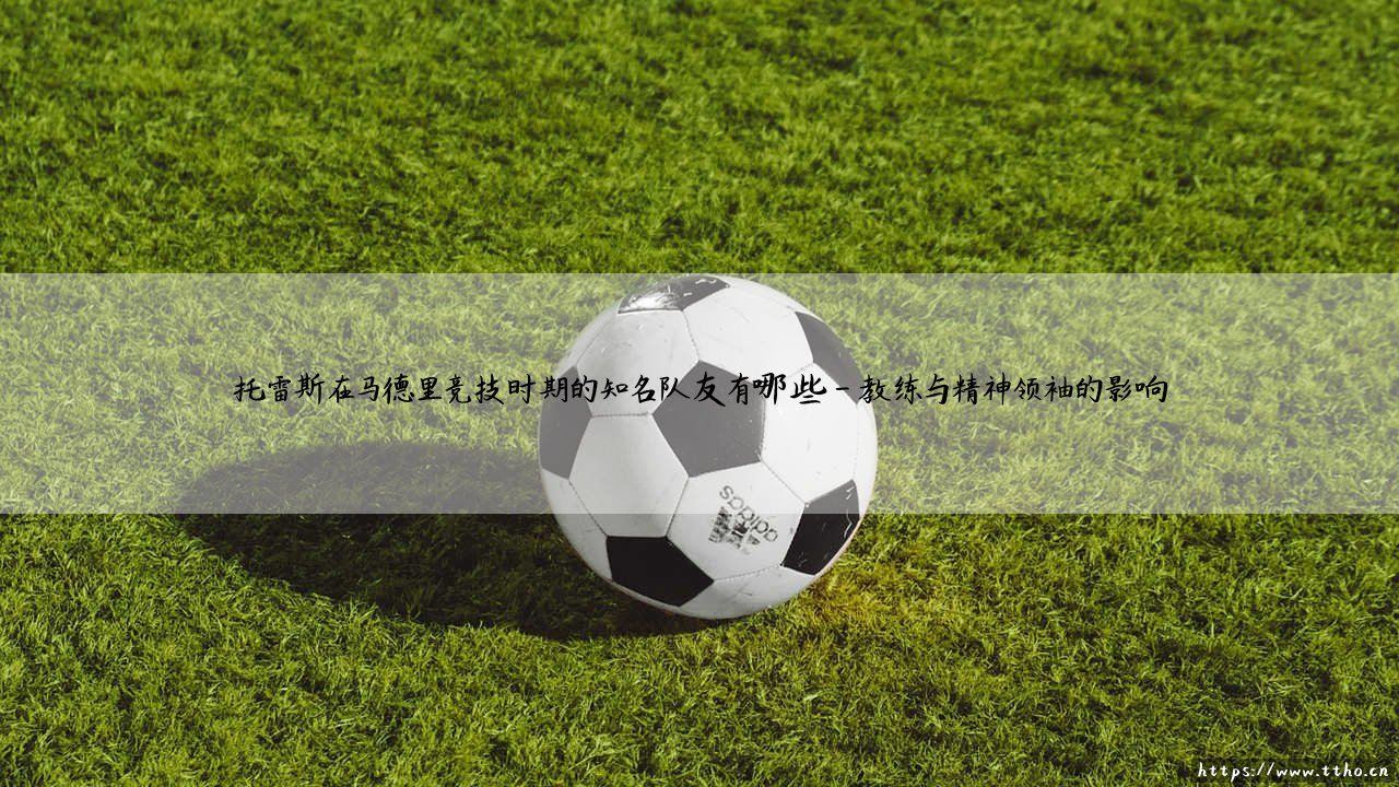 托雷斯在马德里竞技时期的队友盘点:那些与他并肩作战的床单军团名将们-第4张图片-天体号 托雷斯在马德里竞技时期的队友盘点:那些与他并肩作战的床单军团名将们-第4张图片-天体号