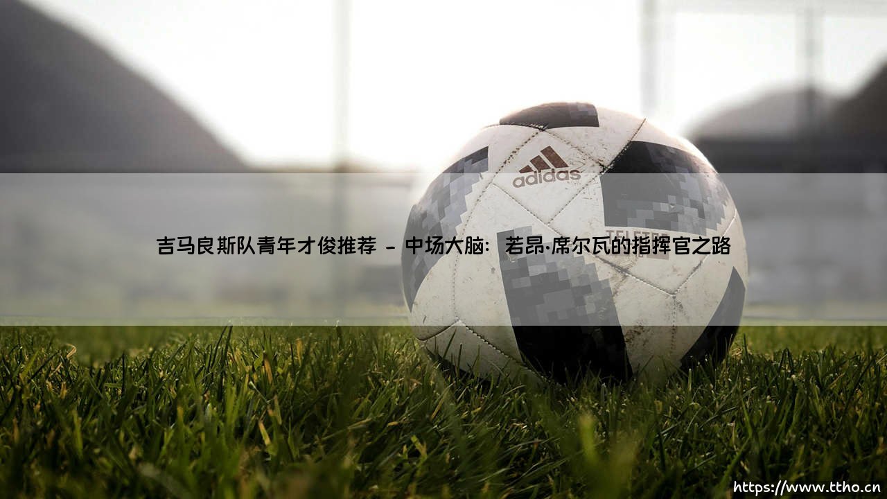 吉马良斯队青年才俊推荐:维拉科恩德斯球场升起的新星图谱-第2张图片-天体号 吉马良斯队青年才俊推荐:维拉科恩德斯球场升起的新星图谱-第2张图片-天体号
