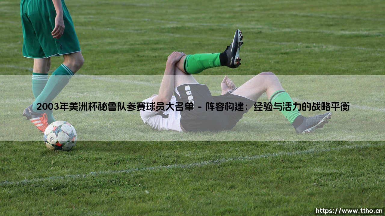 2003年美洲杯秘鲁队参赛球员大名单：一代白红军团的黄金记忆-第1张图片-天体号