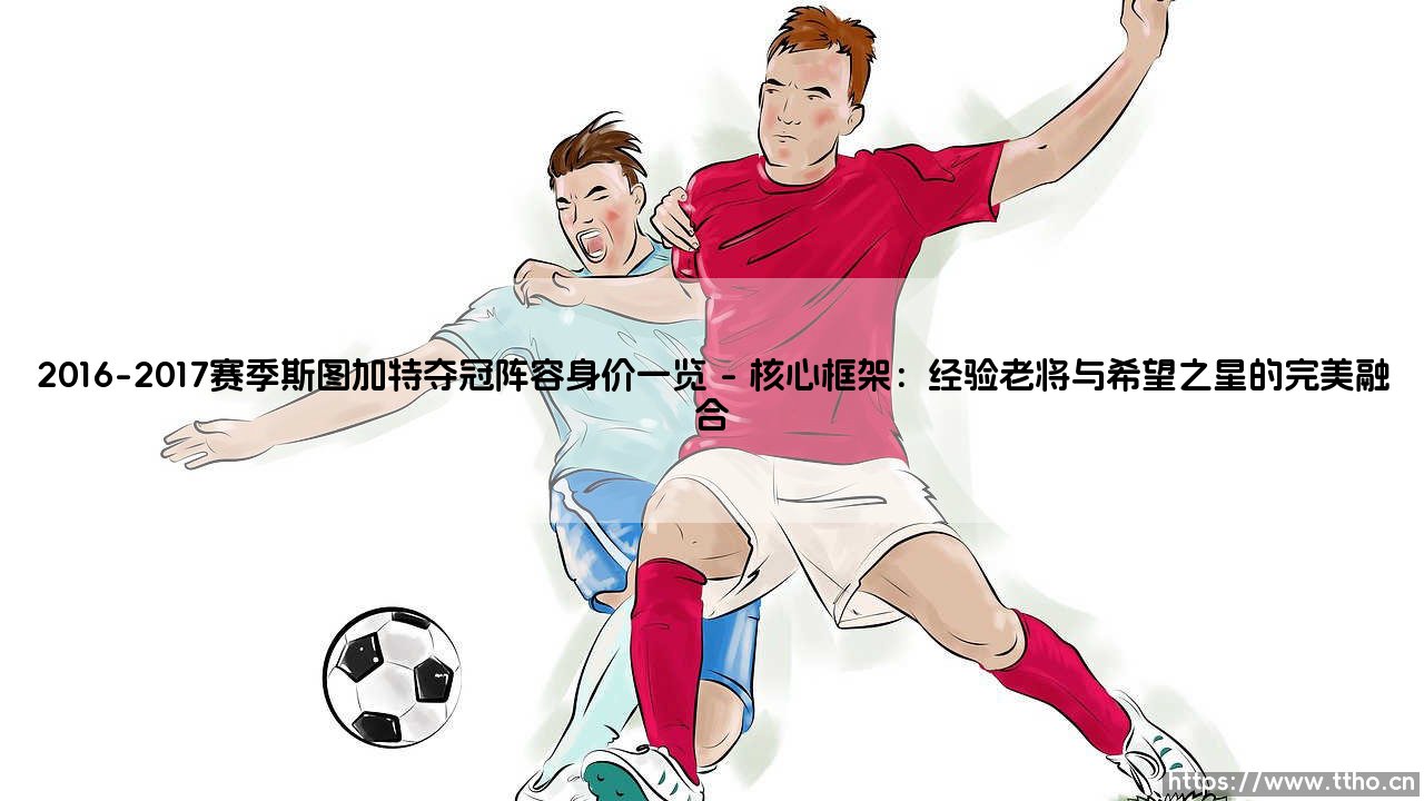 2016-2017赛季斯图加特夺冠阵容身价一览 - 这支德乙冠军的「含金量」究竟如何?-第1张图片-天体号 2016-2017赛季斯图加特夺冠阵容身价一览 - 这支德乙冠军的「含金量」究竟如何?-第1张图片-天体号