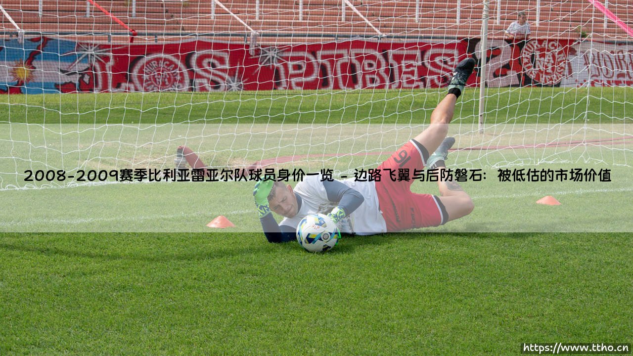 2008-2009赛季比利亚雷亚尔队球员身价一览：情歌球场的金色价值-第2张图片-天体号