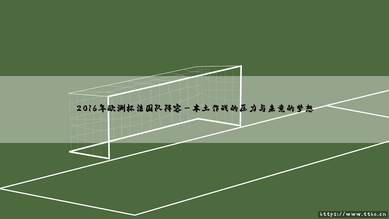 2016年欧洲杯法国队阵容:一支被本土期待重塑的黄金一代-第3张图片-天体号 2016年欧洲杯法国队阵容:一支被本土期待重塑的黄金一代-第3张图片-天体号