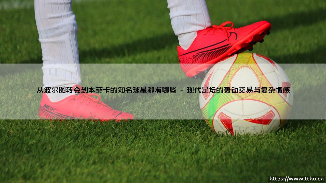 从波尔图转会到本菲卡的知名球星：巨龙与雄鹰间的特殊航迹-第2张图片-天体号