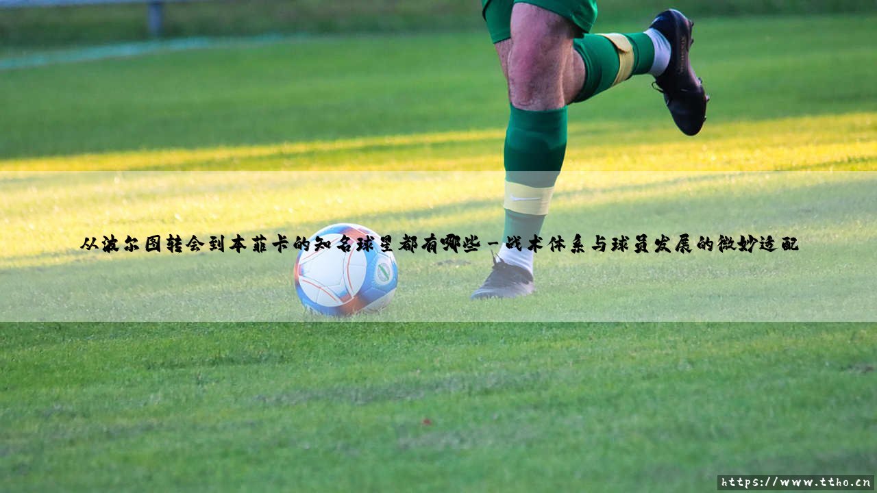 从波尔图转会到本菲卡的知名球星：巨龙与雄鹰间的特殊航迹-第3张图片-天体号