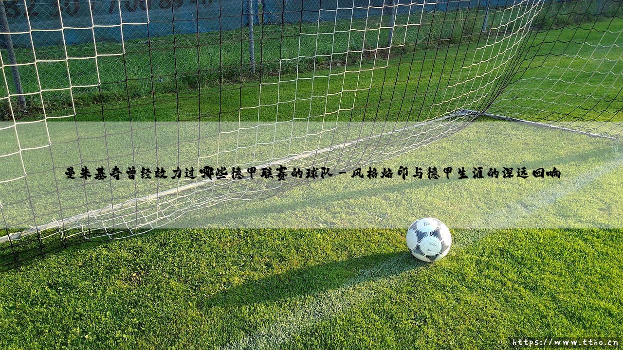 曼朱基奇在德甲赛场的足迹与传奇-第3张图片-天体号