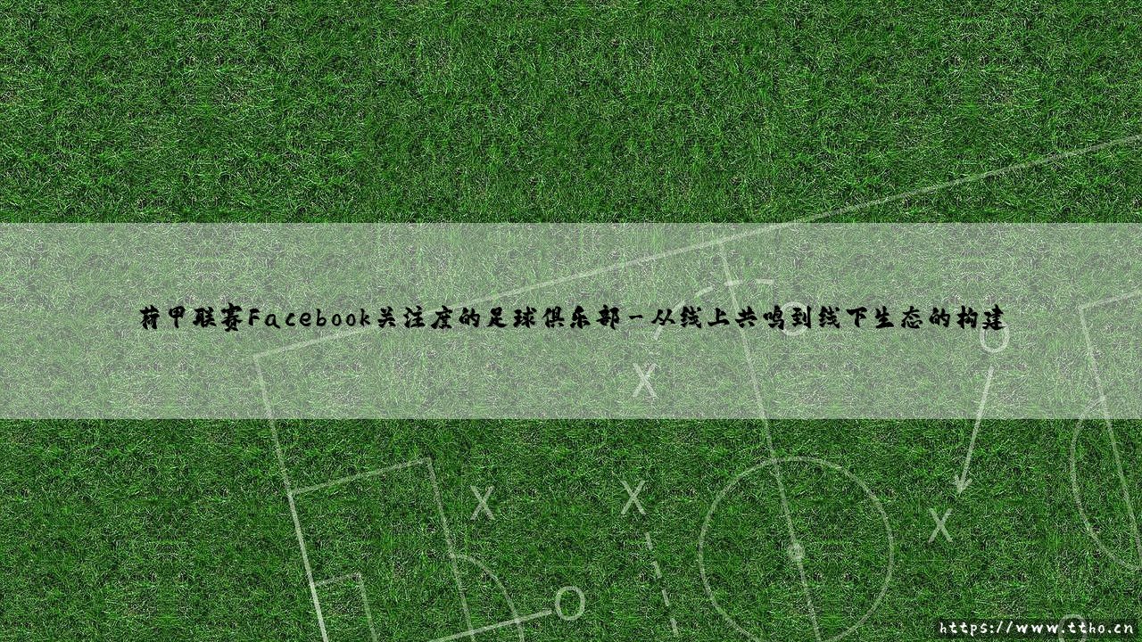 荷甲联赛Facebook关注度：足球俱乐部如何在全球社交版图书写橙色传奇？-第3张图片-天体号