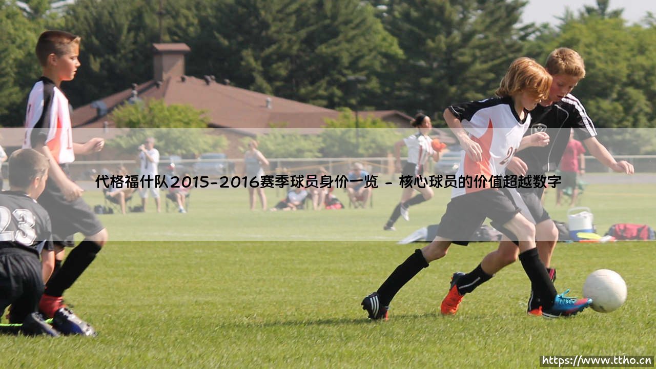 代格福什队2015-2016赛季球员身价一览:微小市场球队的生存哲学-第2张图片-天体号 代格福什队2015-2016赛季球员身价一览:微小市场球队的生存哲学-第2张图片-天体号